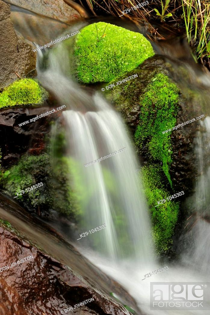 Stock Photo: Spring cascade.
