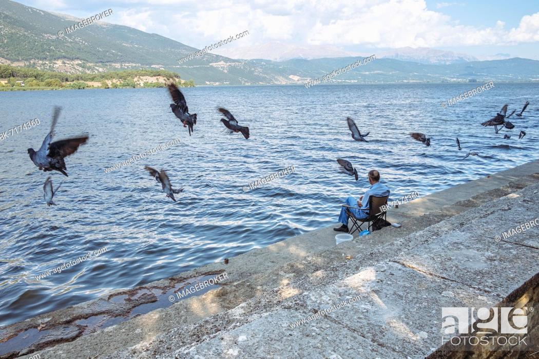Stock Photo: Pigeons in flight in front of a lake with an angler on the shore, Lake Pamvotida, Ioannina, Greece, Europe.