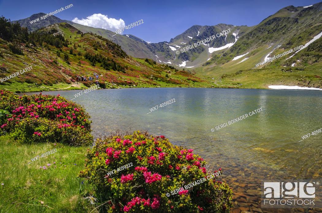 Stock Photo: Carlit Lakes, Les Bouillouses, in summer. In the background, the Carlit summit (Pyrenees Orientales, France).