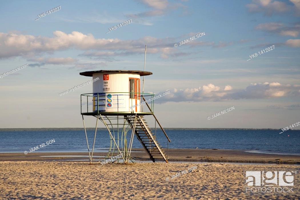 Shells covering the beach on Hiddensee Island, Mecklenburg-Western  Pomerania, Germany, Europe, Stock Photo, Picture And Rights Managed Image.  Pic. IBR-896470   agefotostock