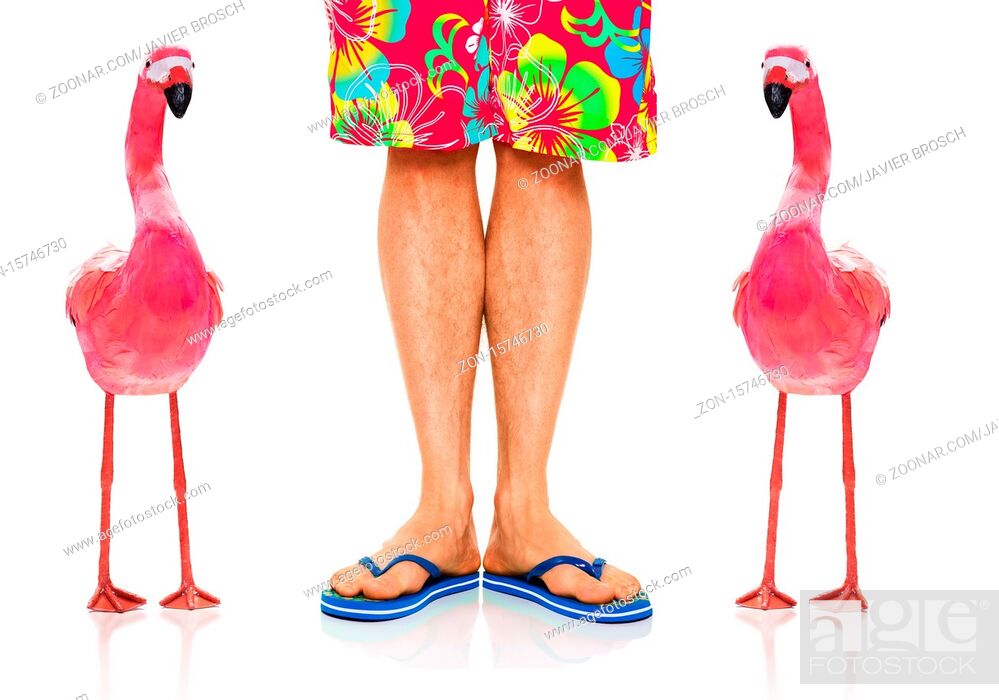 Imagen: pink gay flamingo and owner sitting close together at the beach on summer vacation holidays.