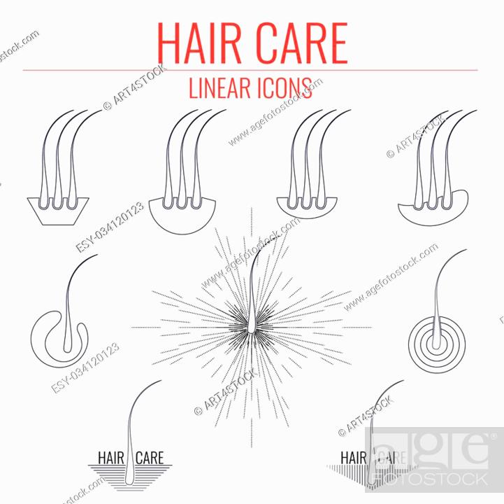 Details more than 153 hair care ppt super hot