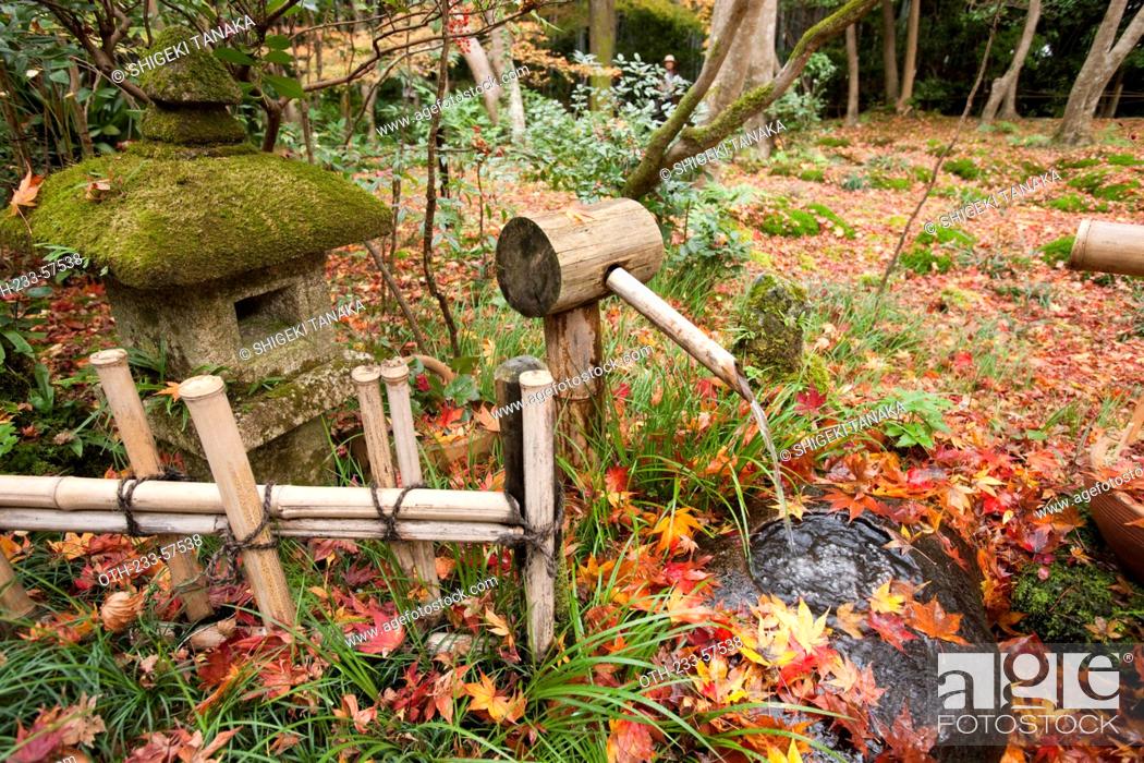 Stone Water Basin Japanese Garden In Autumn Giou Ji Temple
