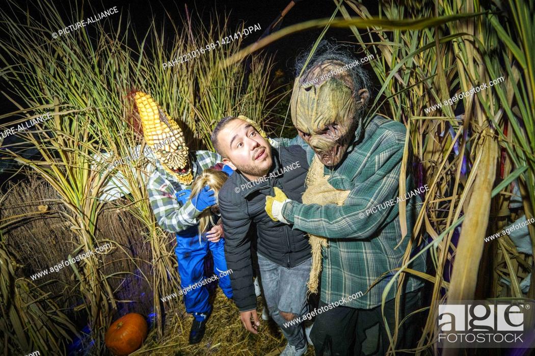 Stock Photo: PRODUCTION - 15 October 2022, Hesse, Mühltal: Two creepy scarecrows lead two visitors through a corn maze. Frankenstein Castle is colorfully illuminated on the.