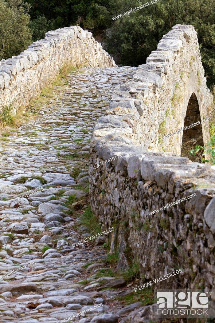Stock Photo: Bridge over Llierca River - 14th Century -, between Sadernes and Montagut villages, La Garrotxa, Girona, Spain.
