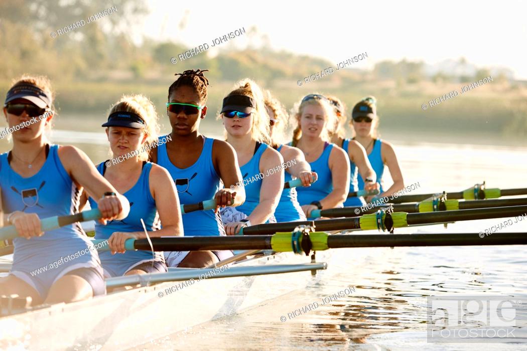 Stock Photo: Female rowers rowing scull on sunny lake.