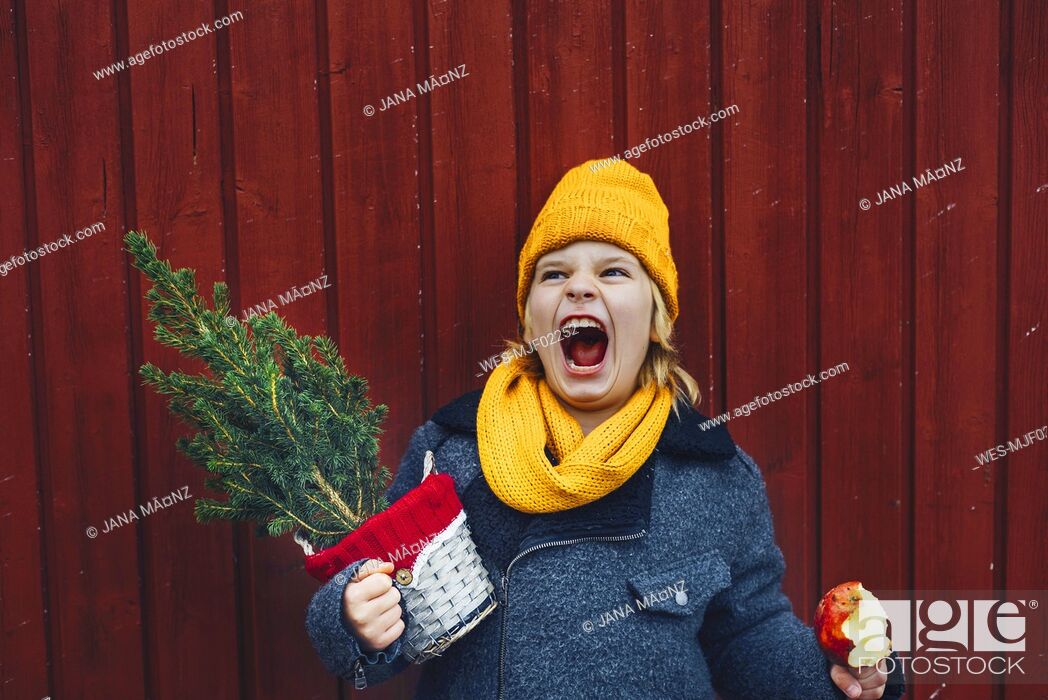 Stock Photo: Laughing boy standing in front of wooden wall with potted Chritsmas tree and candied apple.