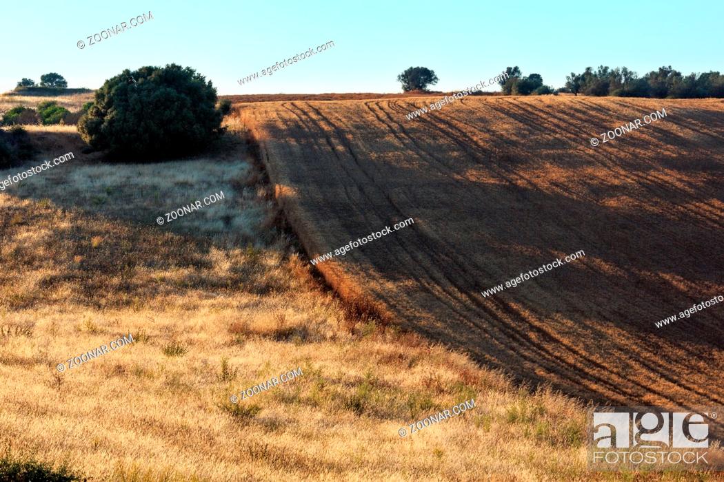 Stock Photo: Beautiful landscape of Sicily summer countryside in Italy.