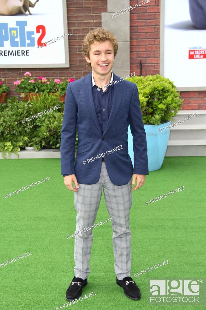 Stock Photo: Sean Giambrone at the Universal Pictures Premiere of ""The Secret Life Of Pets 2"". Held at the Regency Village Theatre in Los Angeles, CA, June 2, 2019.
