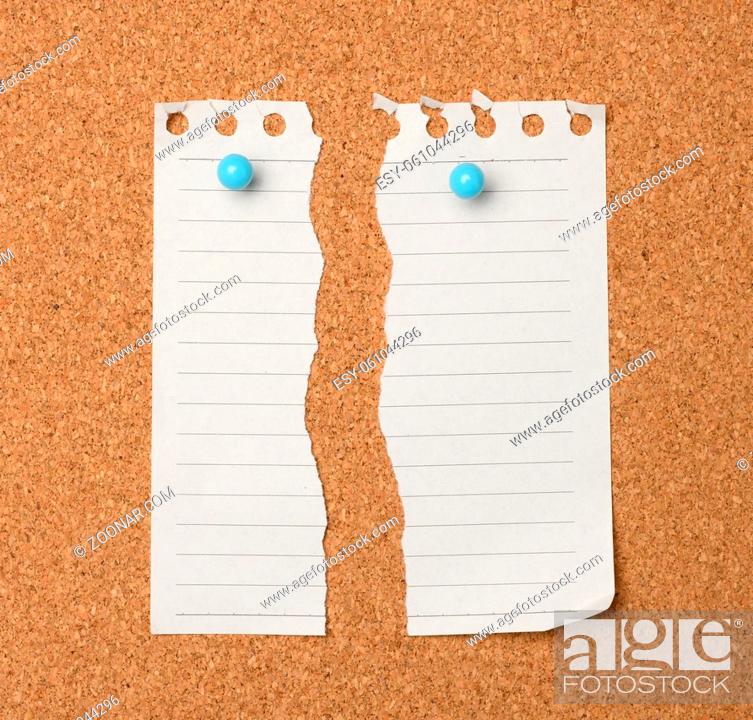 Stock Photo: torn sheet of white paper in a line hanging on a brown cork board, close up.