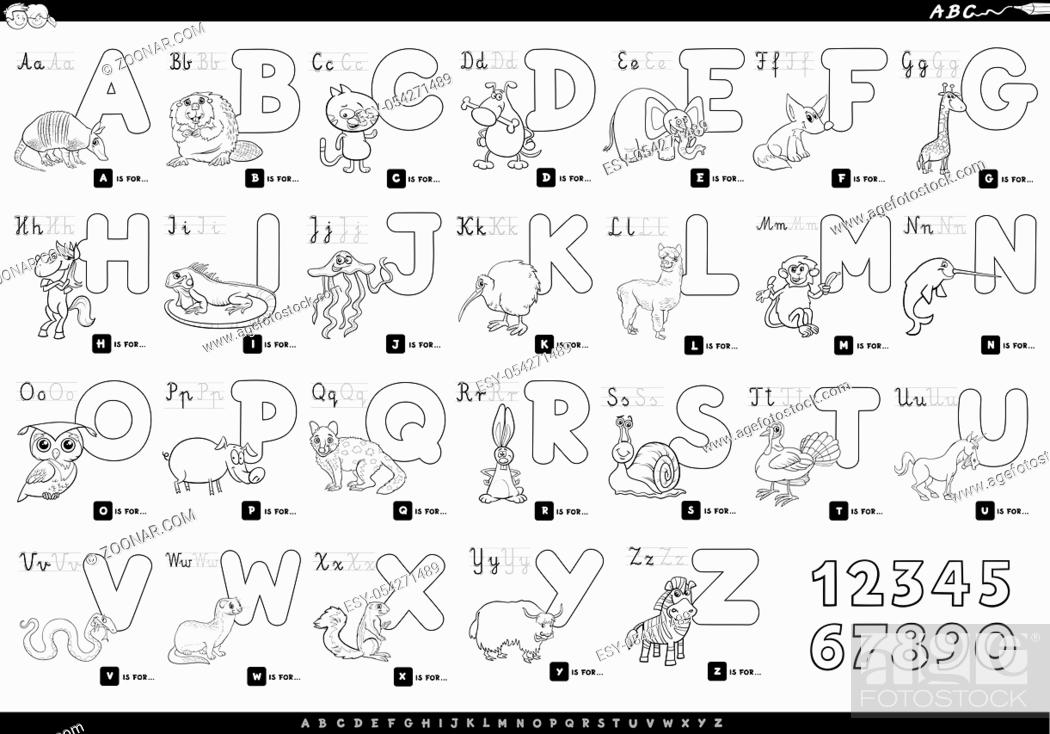 Black and White Cartoon Illustration of Capital Letters Alphabet Set with  Animal Characters for..., Stock Photo, Picture And Low Budget Royalty Free  Image. Pic. ESY-054271489 | agefotostock