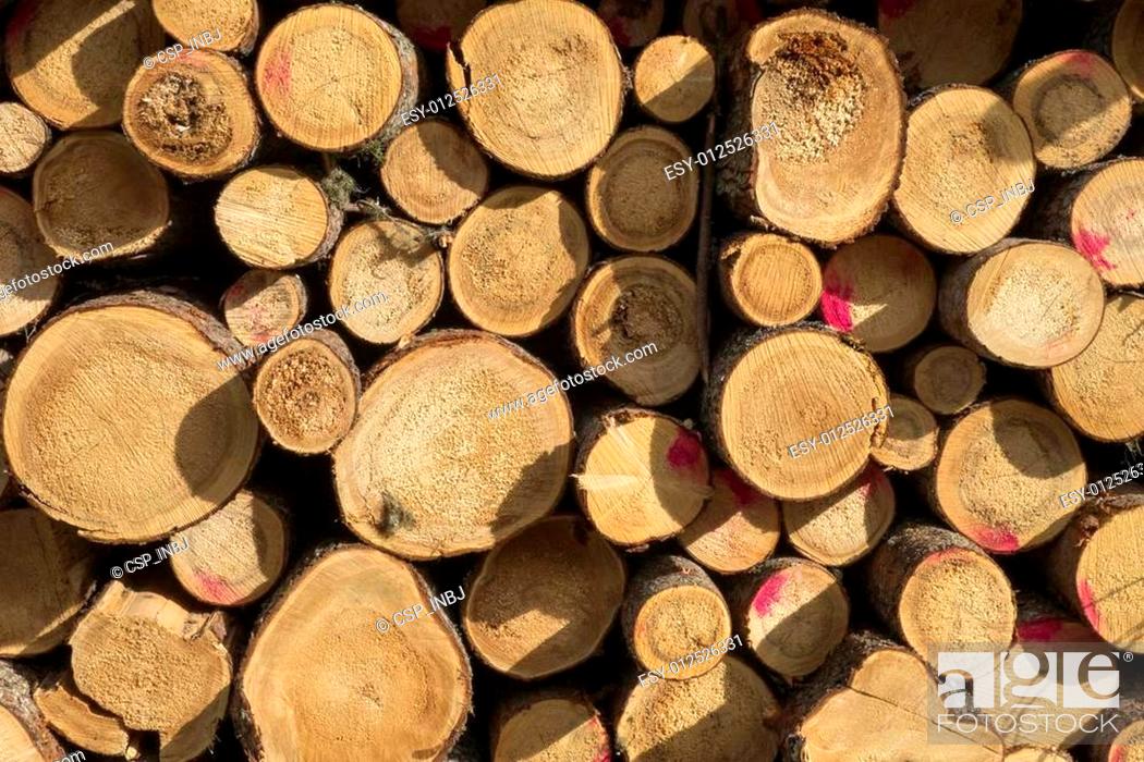 Stock Photo: wood logs.