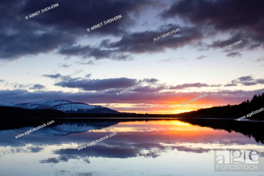 Stock Photo: Loch Morlich at sunset in winter, Cairngorms National Park, Badenoch and Strathspey, Highland, Scotland, UK.