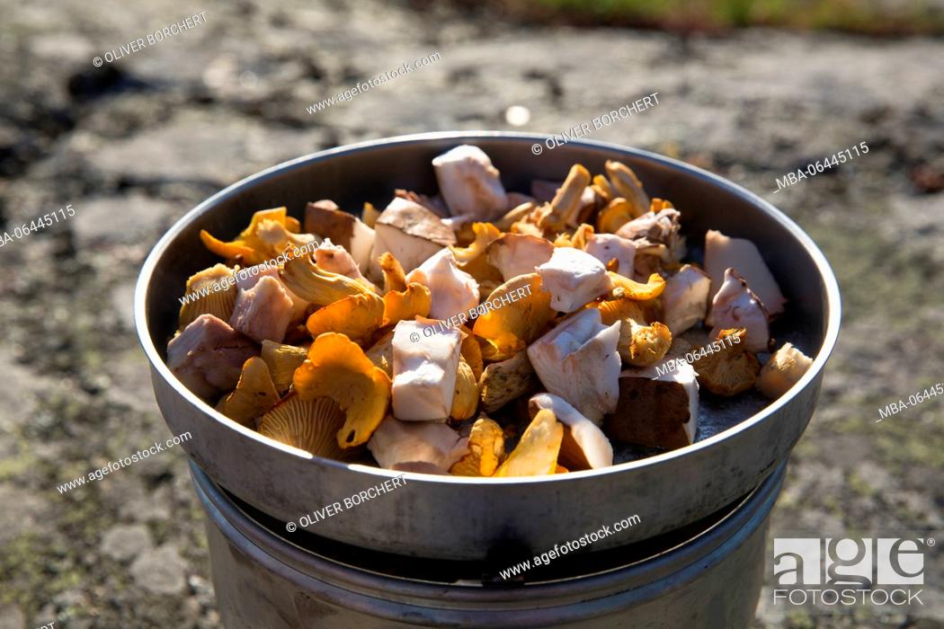 Stock Photo: mushrooms on stove, outdoor.