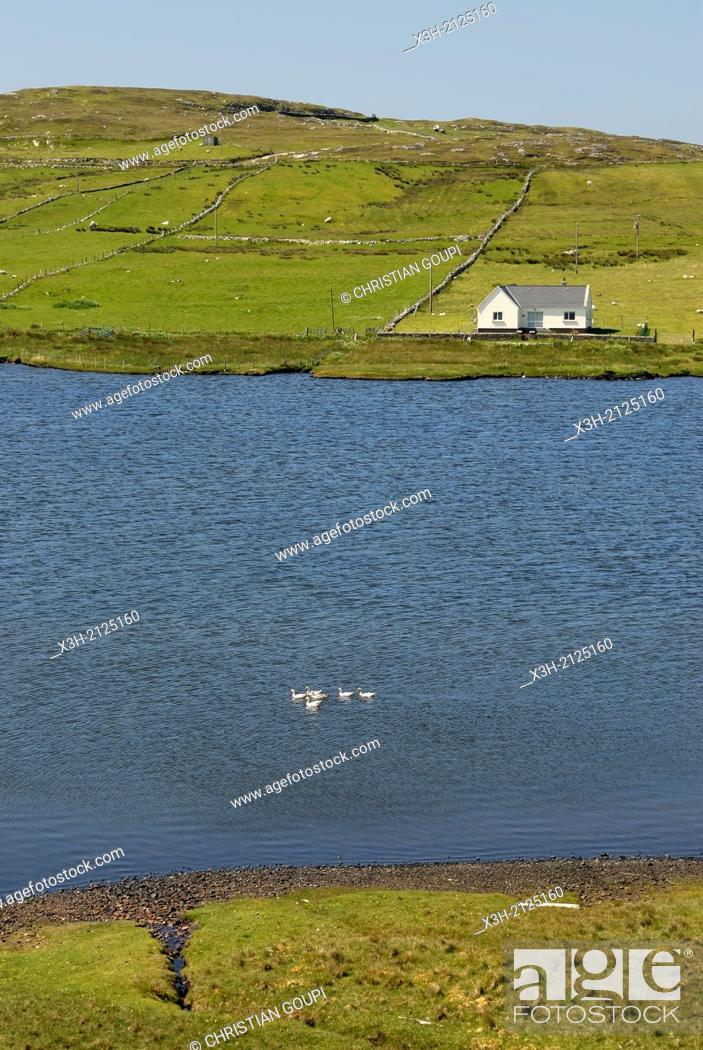 Stock Photo: Inishbofin island, Connemara, County Galway, Ireland, Western Europe.