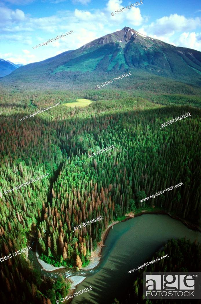 Stock Photo: Nass River Aerial, Nisga'a territory, British Columbia, Canada.