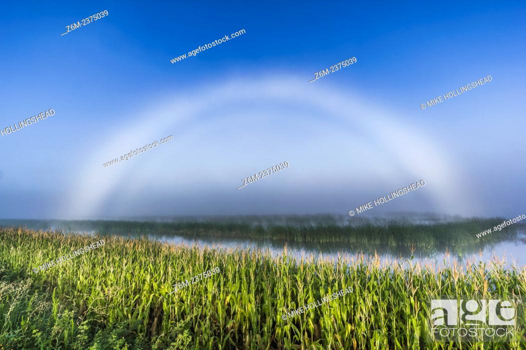 Stock Photo: Fogbow forms over flooded fields. Field flooding due to the historic 2011 Missouri River Flood.