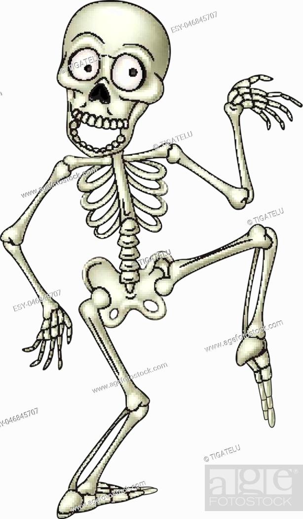 Vector illustration of Cartoon funny human skeleton dancing, Stock Vector,  Vector And Low Budget Royalty Free Image. Pic. ESY-046845707 | agefotostock