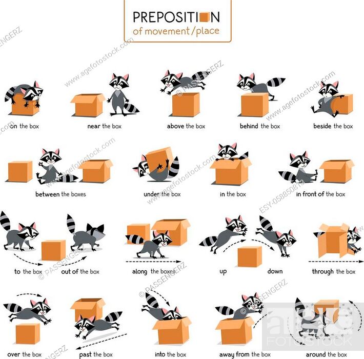 Raccoon and the box. Preposition of movements and place for learning  English, Stock Vector, Vector And Low Budget Royalty Free Image. Pic.  ESY-058850813 | agefotostock