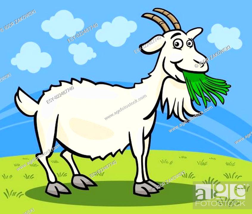 Stock Photo: goat farm animal cartoon illustration.