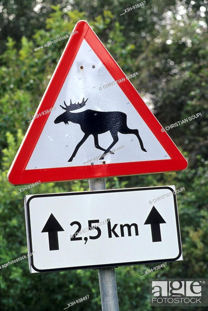 Stock Photo: panneau routier indiquant le passage frequent d'elans, region de Saare, Estonie, pays balte, europe du nord.