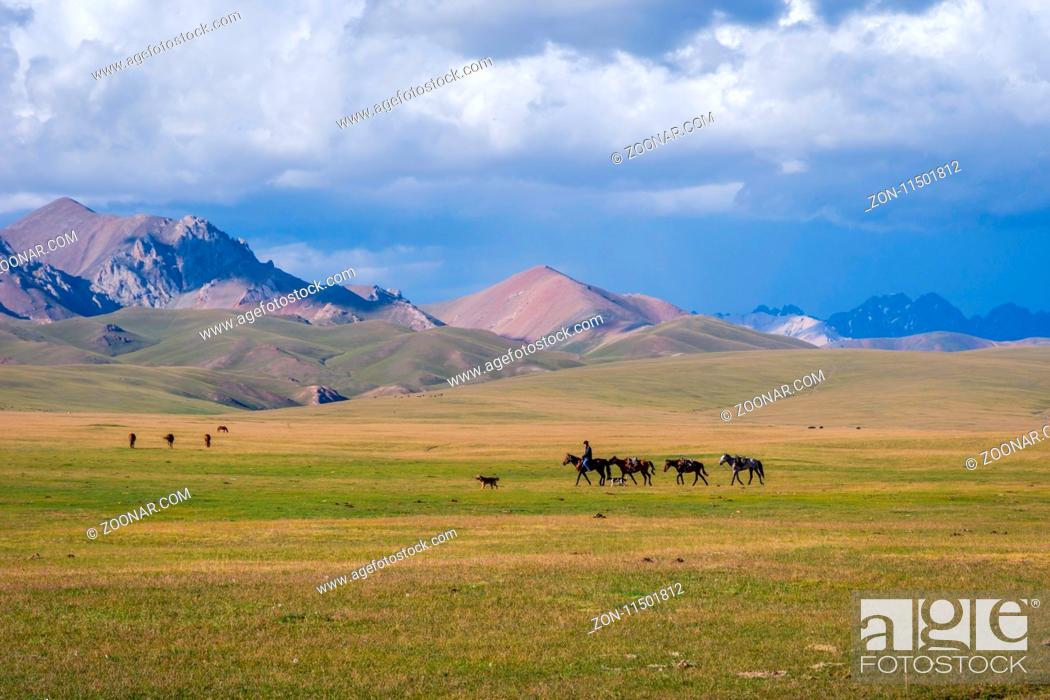 Stock Photo: SONG KUL, KYRGYZSTAN - AUGUST 11: Man riding and guiding horses over scenic landscape of Song Kul lake. August 2016.