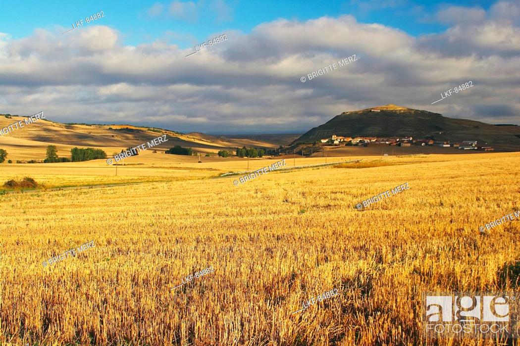 Stock Photo: Stubble fields with village in background, Ibrillos, near Belorado, Castilla Leon, Spain.