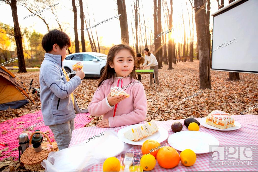 Stock Photo: The happy family outdoor camping out for a picnic in the sunset.