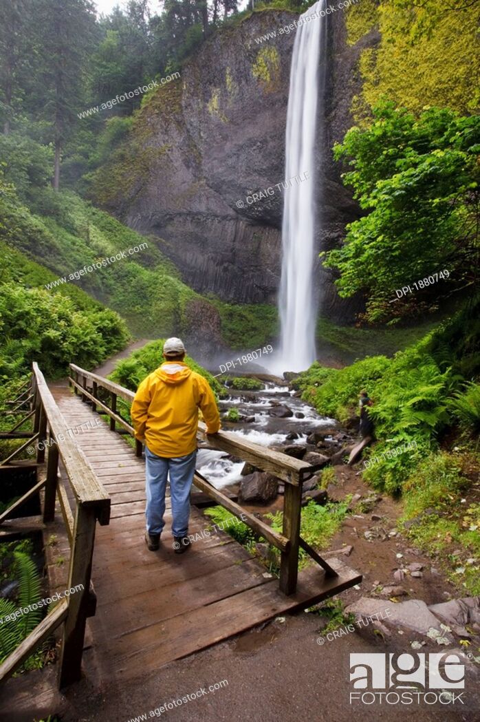 Stock Photo: a hiker on a bridge looking at latourell falls in columbia river gorge national scenic area, oregon, united states of america.