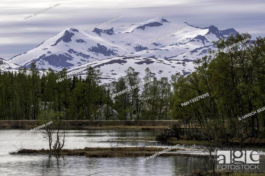Stock Photo: late spring at lake Prestvannet, june 2020 | usage worldwide. - Tromsö/Troms/Norway.