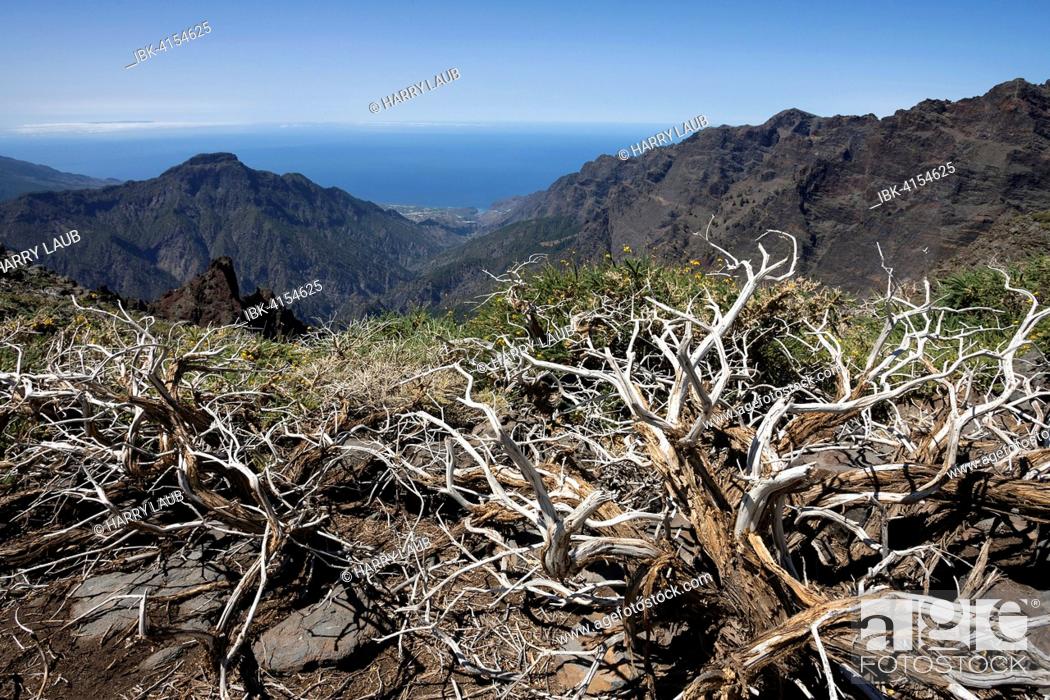 Stock Photo: View from the Roque de los Muchachos on the Caldera de Taburiente, La Palma, Canary Islands, Spain.