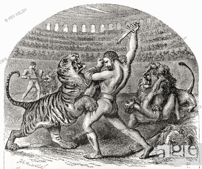 Gladiators fighting against wild animals in ancient Rome, Stock Photo,  Picture And Rights Managed Image. Pic. XY2-2982808 | agefotostock