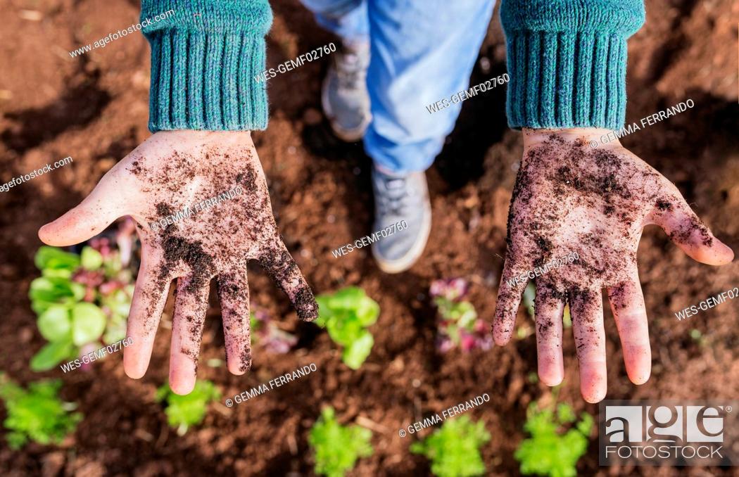 Stock Photo: Boy showing messy hands, full of soil, after planting seedlings.