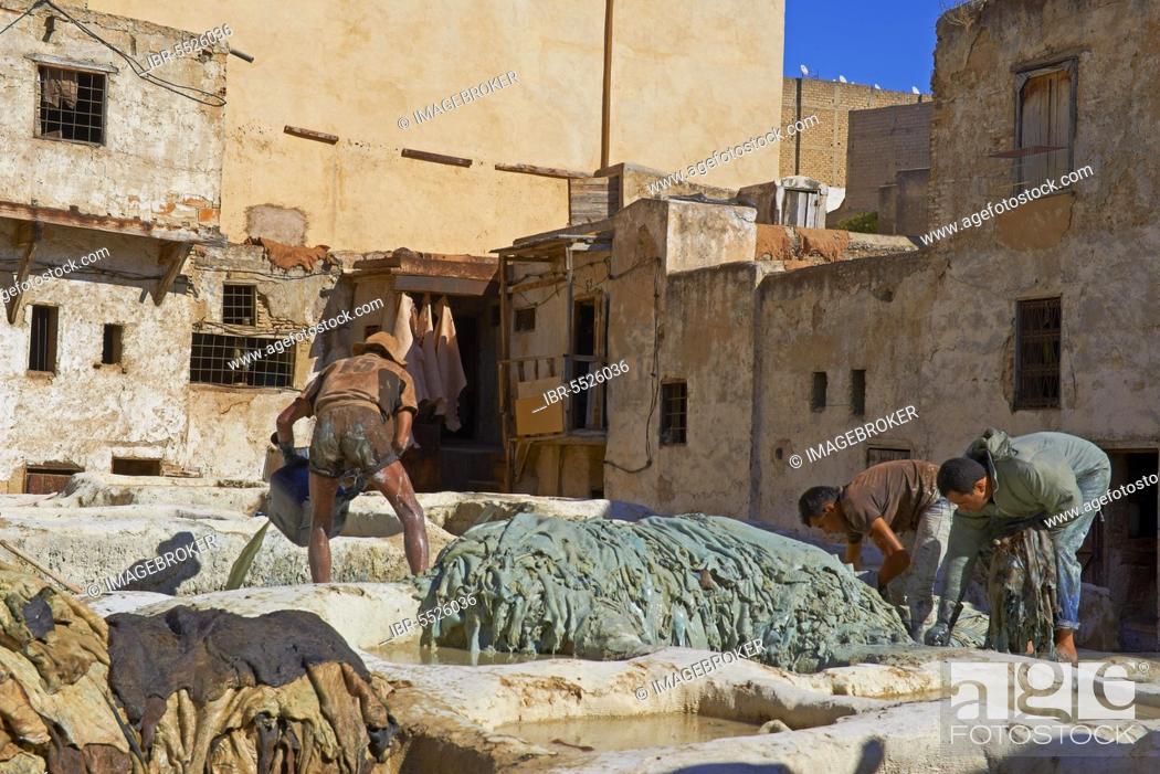 Stock Photo: Fes, Traditional Tanneries with Dyeing Tubs, The Chouwara, Chouara, Tannery, Old Town, Medina, UNESCO World Heritage Site, Fes el Bali, Maghreb, North Africa.
