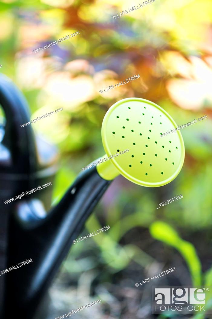Stock Photo: Closeup of plastic watering can in garden at summer.