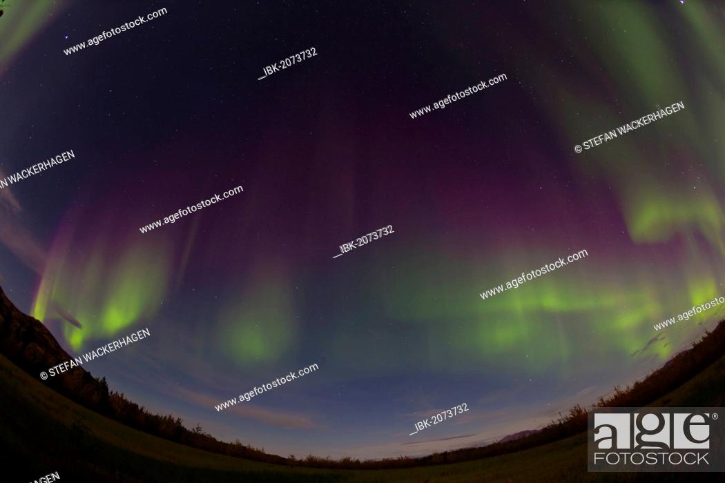 Stock Photo: Curtains of Northern lights, Polar Aurorae, Aurora Borealis, green, pink, purple, near Whitehorse, Yukon Territory, Canada.