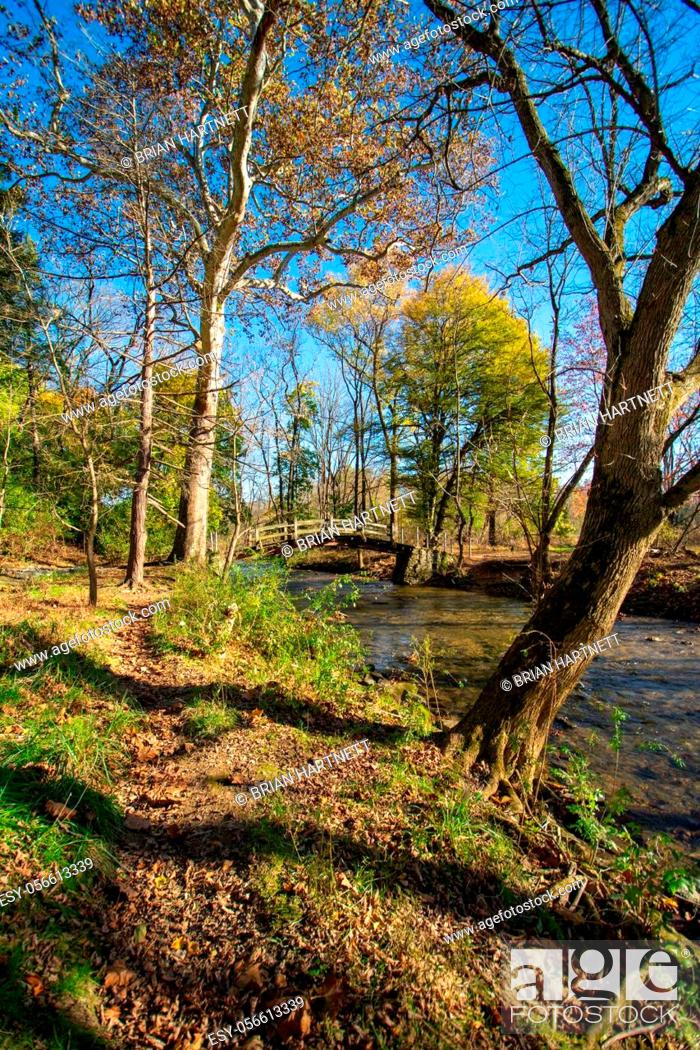 Stock Photo: A Wooden Bridge Going Over a Small Stream on a Clear Autumn Day at Valley Forge National Historical Park.