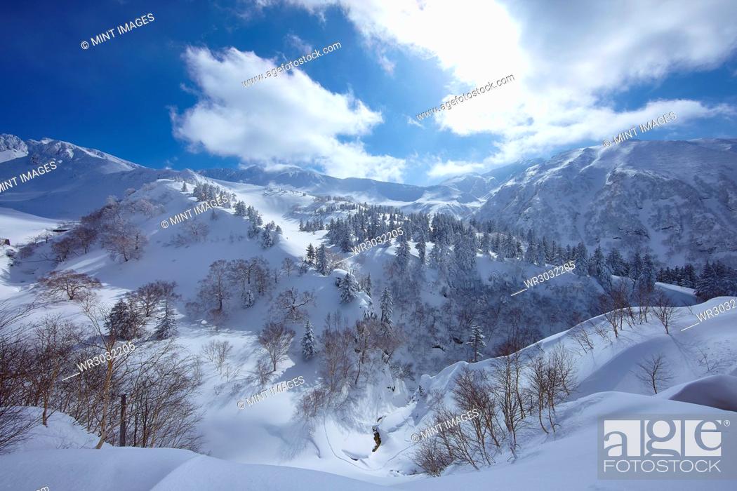 Stock Photo: Mountainous landscape with trees on snow-covered slopes under a cloudy sky.