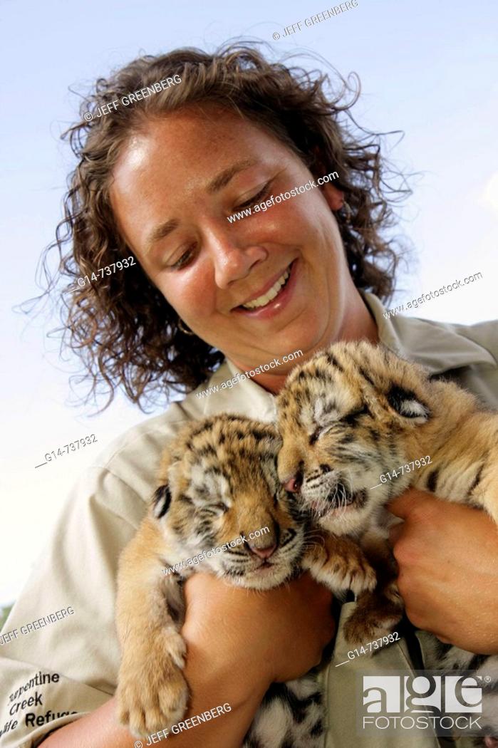 Stock Photo: Arkansas, Eureka Springs, Turpentine Creek Wildlife Refuge, rescuing exotic wild cats, tiger cubs, eyes closed, woman, staff zoologist, handler,.