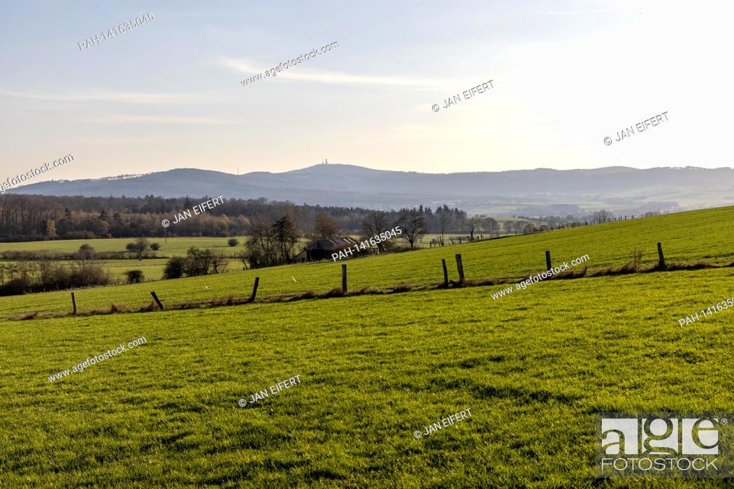 Stock Photo: Green meadows can be seen with blue skies and sunshine with a view of the Grosse Feldberg. | usage worldwide. - Wehrheim/Deutschland.