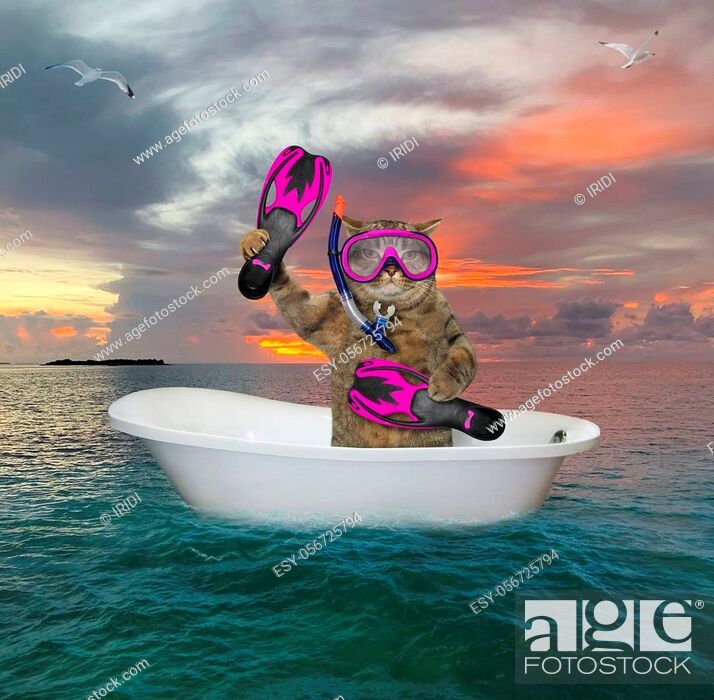 Stock Photo: The beige cat diver with a mask, a snorkel and flippers is drifting in a bathtub in the open sea.