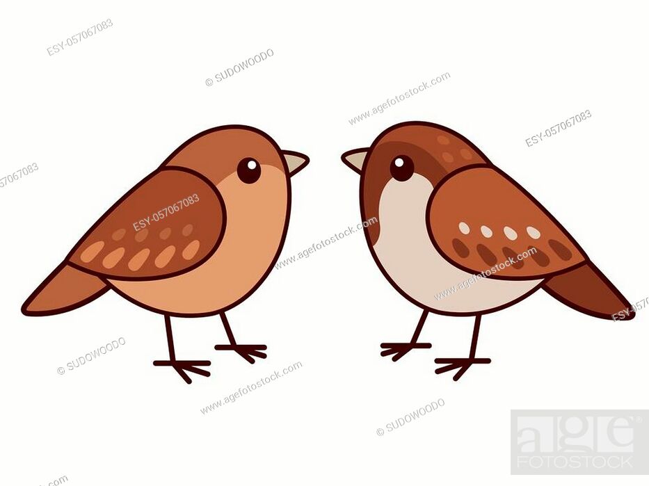 Male and female house sparrows. Cute cartoon bird couple, isolated vector  clip art illustration, Stock Vector, Vector And Low Budget Royalty Free  Image. Pic. ESY-057067083 | agefotostock