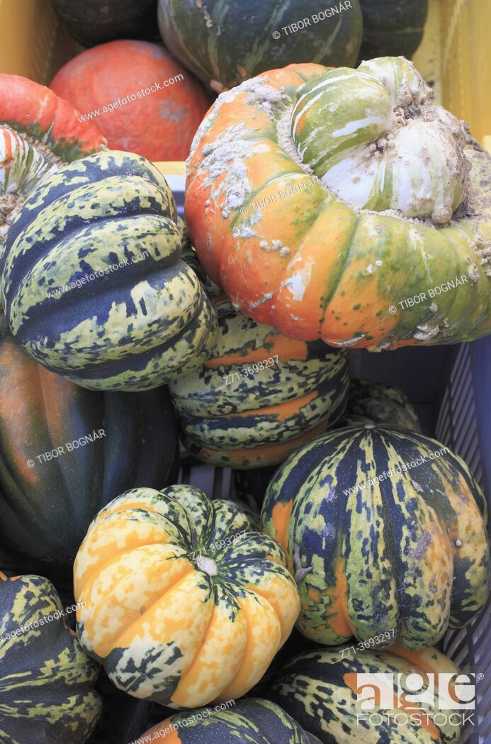 Photo de stock: Squash, vegetable, food, autumn, .