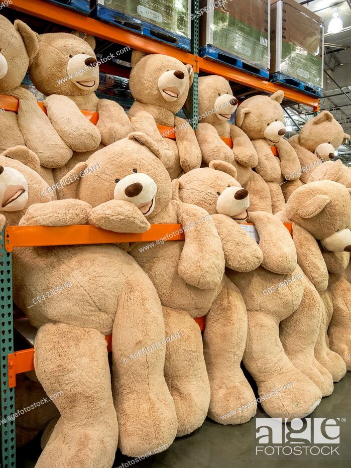 big teddy bear shop