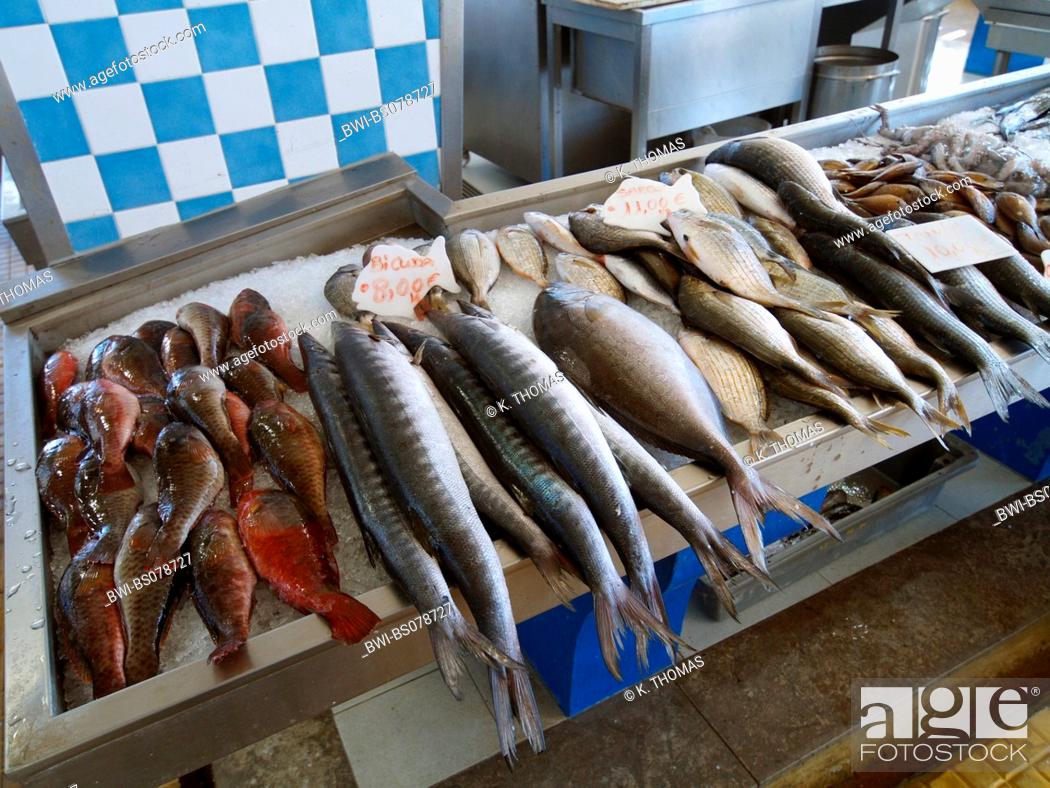 Stock Photo: fish market, Portugal, Madeira, Santa Cruz.