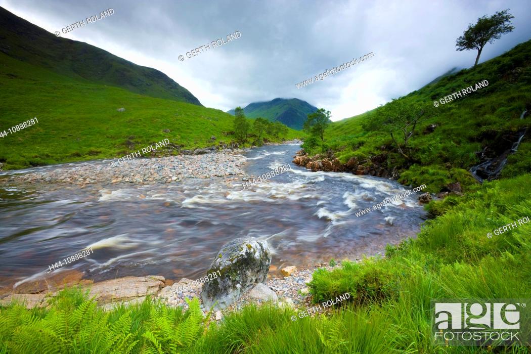 Stock Photo: Glen Etive, Great Britain, Scotland, Europe, valley, river, flow, rock, cliff, trees, fern, clouds, rains.