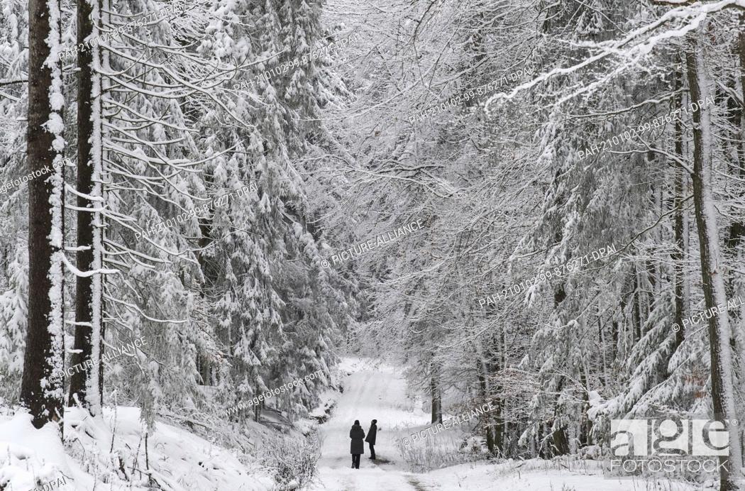 Stock Photo: 02 January 2021, Hessen, Kiedrich: Walkers walk through a white winter landscape near Kiedrich. In the coming days, temperatures will drop well below freezing.