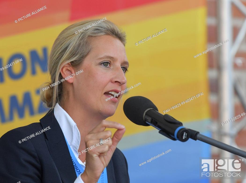 Stock Photo: 25 August 2019, Brandenburg, Peitz: Alice Weidel, leader of the AfD parliamentary group, speaks at an AfD election campaign event.