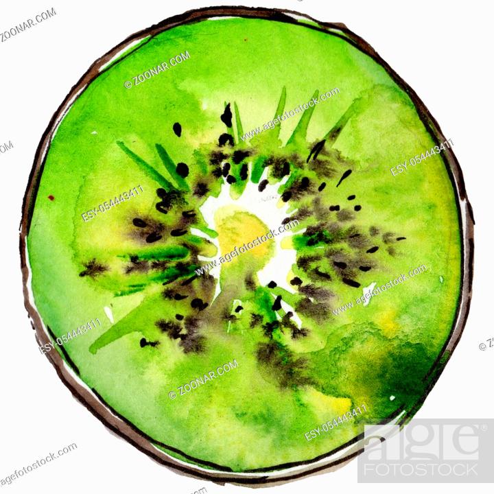 Stock Photo: Exotic kiwi healthy food in a watercolor style isolated. Full name of the fruit: kiwi. Aquarelle wild fruit for background, texture, wrapper pattern or menu.