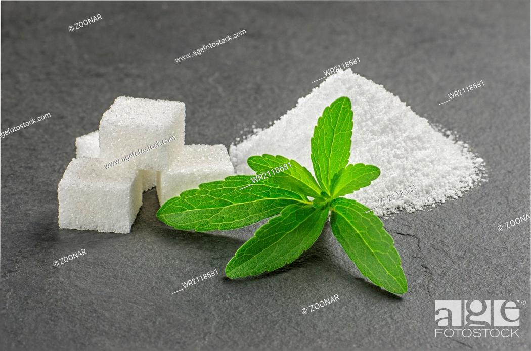 Stock Photo: Stevia leaves with stevia powder and sugar cubes on a slate plate.